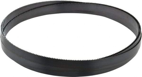 Starrett - 8/S TPI, 14' 8" Long x 3/4" Wide x 0.032" Thick, Welded Band Saw Blade - Carbon Steel, Toothed Edge, Raker Tooth Set, Flexible Back, Contour Cutting - Americas Industrial Supply