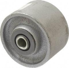 Albion - 3-1/4 Inch Diameter x 2 Inch Wide, Cast Iron Caster Wheel - 700 Lb. Capacity, 2-3/16 Inch Hub Length, 1/2 Inch Axle Diameter, Roller Bearing - Americas Industrial Supply