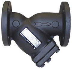 Legend Valve - 2-1/2" Pipe, Flanged Ends, Cast Iron Y-Strainer - 200 psi WOG Rating, 150 psi WSP Rating - Americas Industrial Supply
