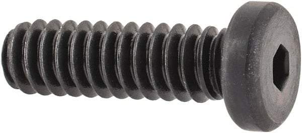 Made in USA - #10-24 UNC Hex Socket Drive, Low Socket Cap Screw - Grade 4037 Alloy Steel, Black Oxide Finish, Fully Threaded, 5/8" Length Under Head - Americas Industrial Supply