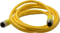 Brad Harrison - Female to Male Cordset Sensor and Receptacle - 250 VAC/VDC, 2m Cable Length, IP68 Ingress Rating - Americas Industrial Supply