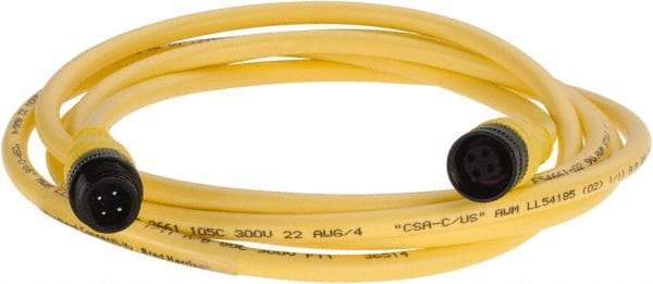 Brad Harrison - Female to Male Cordset Sensor and Receptacle - 250 VAC/VDC, 6 Ft. Long Cable, IP68 Ingress Rating - Americas Industrial Supply