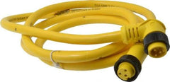 Brad Harrison - 13 Amp, Female 90° to Male 90° Cordset Sensor and Receptacle - 600 VAC/VDC, 6 Ft. Long Cable, IP68 Ingress Rating - Americas Industrial Supply