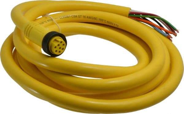 Brad Harrison - 7 Amp, Female Straight to Pigtail Cordset Sensor and Receptacle - 600 Volt, 3.66m Cable Length, IP67 Ingress Rating - Americas Industrial Supply