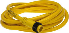 Brad Harrison - 10 Amp, Male Straight to Pigtail Cordset Sensor and Receptacle - 600 Volt, 3.66m Cable Length, IP67 Ingress Rating - Americas Industrial Supply