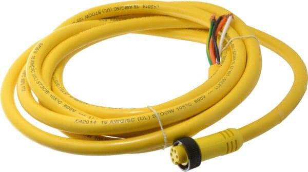 Brad Harrison - 8 Amp, Female Straight to Pigtail Cordset Sensor and Receptacle - 600 Volt, 3.66m Cable Length, IP67 Ingress Rating - Americas Industrial Supply