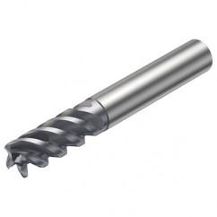 R216.24-10050CCC22P 1620 10mm 4 FL Solid Carbide End Mill - Corner Radius w/Cylindrical - Neck Shank - Americas Industrial Supply