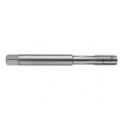 M10 x 1.5 Dia. - 6H - 4 FL - Carbide Semi-Bott Tap - Bright Finish-Coolant-Thru-FORM-C - Americas Industrial Supply