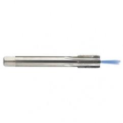 M12 x 1.75 Dia. - 6H - 4 FL - Carbide Semi-Bott Tap - Bright Finish-Coolant-Thru-FORM-C - Americas Industrial Supply
