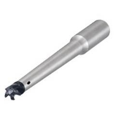 MM S-D-L190-C20-T10-W-H FACE MILL - Americas Industrial Supply