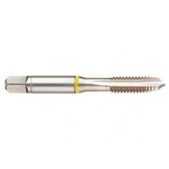 14702 2B 3-Flute Cobalt Yellow Ring Spiral Point Plug Tap-Bright - Americas Industrial Supply
