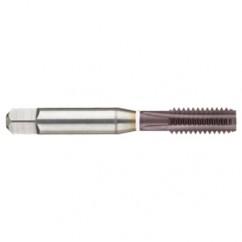 6-32 Dia. - 2B - 3 FL - Cobalt Straight Flute Semi-Bott White Ring Tap - Firex - - Americas Industrial Supply