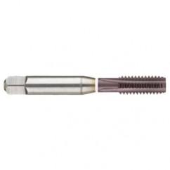 6-40 Dia. - 2B - 3 FL - Cobalt Straight Flute Semi-Bott White Ring Tap - Firex - - Americas Industrial Supply
