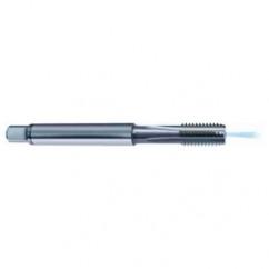 1/2-20 Dia. - 2B - 3 FL - Carbide Bottoming Tap FORM-C-Coolant Thru - Americas Industrial Supply