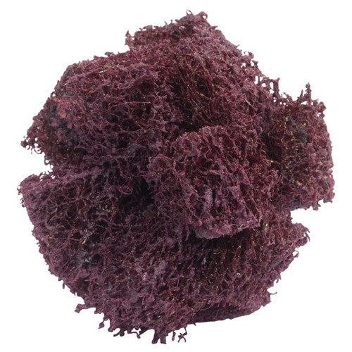 1 1/2″ × 1 1/2″ × 1/2″ Cross Buff 2-Ply Coarse Grit 8-32 Eyelet Aluminum Oxide - Americas Industrial Supply