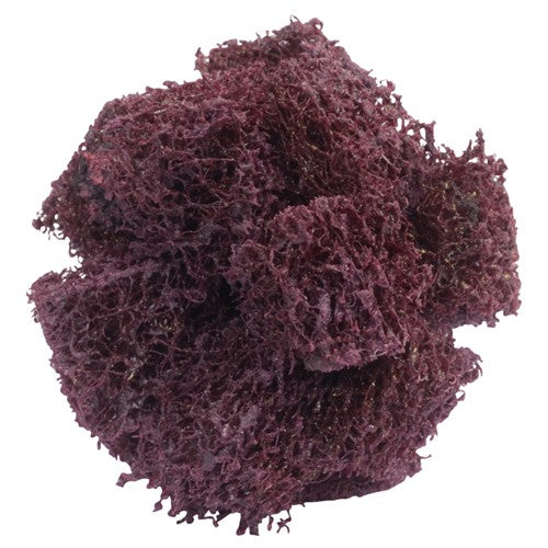 1 1/2″ × 1/2″ Cross Buff 3-Ply Very Fine Grit 8-32 Eyelet Aluminum Oxide - Americas Industrial Supply