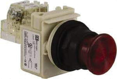 Schneider Electric - 30mm Mount Hole, Extended Straight, Pushbutton Switch with Contact Block - Red Pushbutton, Momentary (MO) - Americas Industrial Supply