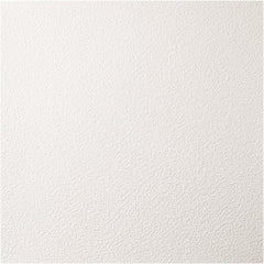 Genesis - Pack of 12 Stucco Pro 23-3/4" x 23-3/4" x 0.197" Vinyl Ceiling Tiles - Americas Industrial Supply