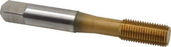 Accupro - 3/8-24 UNF H5 Thread Limit Bottoming Thread Forming Tap - Powdered Metal High Speed Steel, TiN Finish, 2-15/16" OAL - Americas Industrial Supply