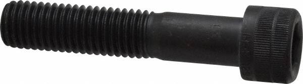 Holo-Krome - M12x1.75 Metric Coarse Hex Socket Drive, Socket Cap Screw - Grade 12.9 Alloy Steel, Black Oxide Finish, Partially Threaded, 60mm Length Under Head - Americas Industrial Supply