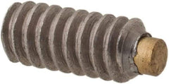 Made in USA - #4-40 UNC, 1/4" Length of Thread, Soft Tip Point Set Screw - Grade 18-8 Stainless Steel - Americas Industrial Supply