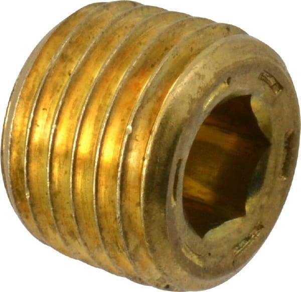 Unbrako - 1/4-18, 13/32" OAL, Brass Socket Pressure Plug - 7/8" Taper per Foot, 1/4" Hex Key - Americas Industrial Supply