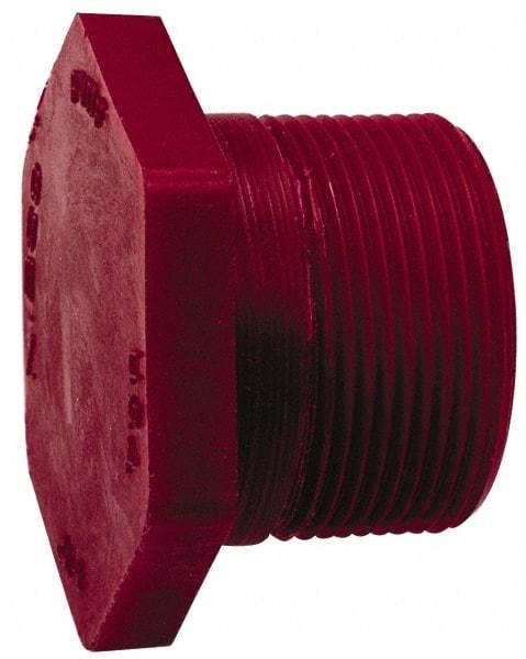 NIBCO - 2" PVDF Plastic Pipe Threaded Plug - Schedule 80, MIPT x MIPT End Connections - Americas Industrial Supply