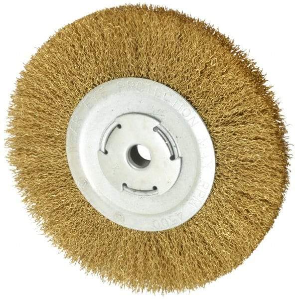 Value Collection - 8" OD, 5/8" Arbor Hole, Crimped Brass Wheel Brush - 1/2" Face Width, 1-3/4" Trim Length, 0.02" Filament Diam, 4,500 RPM - Americas Industrial Supply
