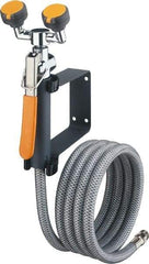 PRO-SAFE - Plumbed Drench Hoses Mount: Wall Style: Dual Spray Head - Americas Industrial Supply