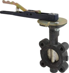 NIBCO - 2" Pipe, Lug Butterfly Valve - Lever Handle, Ductile Iron Body, EPDM Seat, 250 WOG, Ductile Iron Disc, Stainless Steel Stem - Americas Industrial Supply