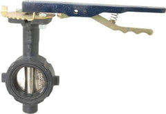 NIBCO - 2" Pipe, Wafer Butterfly Valve - Lever Handle, Ductile Iron Body, Buna-N Seat, 250 WOG, Ductile Iron Disc, Stainless Steel Stem - Americas Industrial Supply