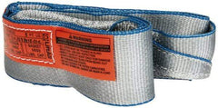 Lift-All - 5' Long x 3" Wide, 4,800 Lb Vertical Capacity, 1 Ply, Polyester Web Sling - 3,800 Lb Choker Capacity - Americas Industrial Supply
