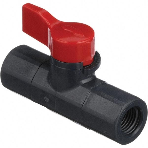 Asahi/America - 1/4" Pipe, Full Port, PVC Ball Valve - 1 Piece, FNPT x FNPT Ends, Tee Handle, 150 WOG - Americas Industrial Supply