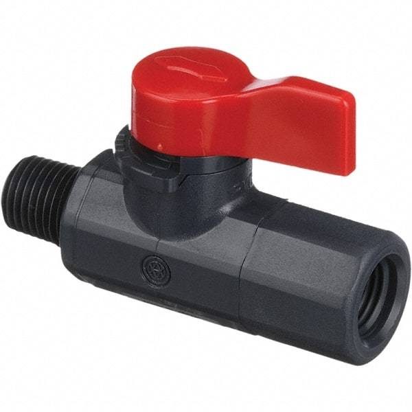 Asahi/America - 1/4" Pipe, Full Port, PVC Ball Valve - 1 Piece, MNPT x FNPT Ends, Tee Handle, 150 WOG - Americas Industrial Supply