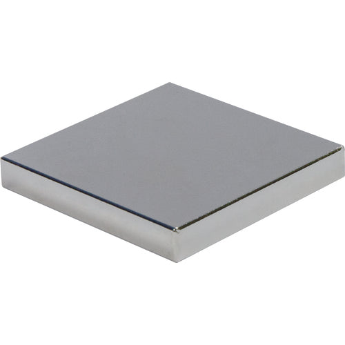 .12 × 1 × 1 Rectangular Rare Earth Magnet - Americas Industrial Supply