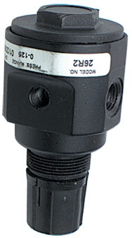 #26R2 - 1/4 NPT - Standard Regulator - Americas Industrial Supply