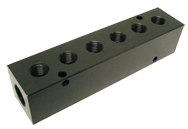 #306315C - 6 Port Manifold - Americas Industrial Supply