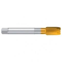 M16–6H REK.A-H/E TiN Straight Flute Tap - Americas Industrial Supply