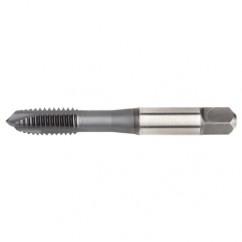 VTSPO5617 M4X0 7 D4 3FL SP PLUGHSS- - Americas Industrial Supply
