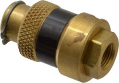 Coilhose Pneumatics - 1/8" Pipe, FNPT x FNPT, Brass Lockout Valve - 150 Max psi, Brass Sleeve - Americas Industrial Supply