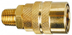 Made in USA - Hose Barb Pneumatic Hose Plug - Brass, 1/4" Body Diam, 1/4" Hose ID - Americas Industrial Supply