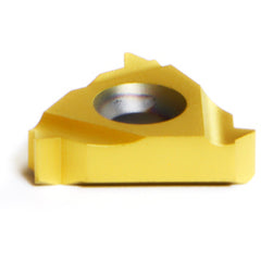 16 IR AG55 P25C THREADING INSERT - Americas Industrial Supply