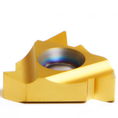 22 ER 4.5 ISO P25C THREADING INSERT - Americas Industrial Supply