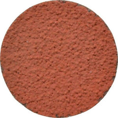 3M - 2" Disc Diam, 36 Grit, Ceramic Quick Change Disc - Type R Attaching System, Coated, Orange, Very Coarse Grade, 25,000 RPM, 777F Series - Americas Industrial Supply