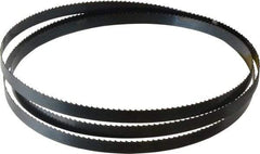 Starrett - 6 TPI, 6' 9" Long x 1/2" Wide x 0.025" Thick, Welded Band Saw Blade - Carbon Steel, Toothed Edge, Raker Tooth Set, Flexible Back, Contour Cutting - Americas Industrial Supply