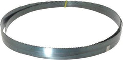 Starrett - 6 TPI, 10' Long x 3/4" Wide x 0.032" Thick, Welded Band Saw Blade - Carbon Steel, Toothed Edge, Raker Tooth Set, Flexible Back, Contour Cutting - Americas Industrial Supply