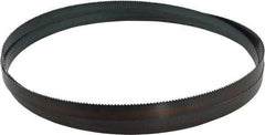 Starrett - 8 TPI, 10' Long x 3/4" Wide x 0.032" Thick, Welded Band Saw Blade - Carbon Steel, Toothed Edge, Raker Tooth Set, Flexible Back, Contour Cutting - Americas Industrial Supply