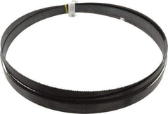 Starrett - 8/S TPI, 11' 6" Long x 1" Wide x 0.035" Thick, Welded Band Saw Blade - Carbon Steel, Toothed Edge, Raker Tooth Set, Flexible Back, Contour Cutting - Americas Industrial Supply