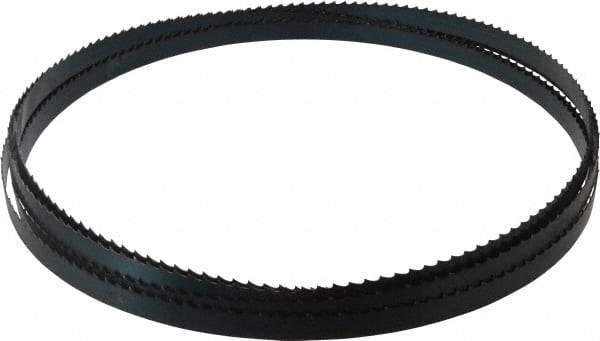 Starrett - 3 TPI, 19' 8" Long x 3/4" Wide x 0.032" Thick, Welded Band Saw Blade - Carbon Steel, Toothed Edge, Raker Tooth Set, Flexible Back, Contour Cutting - Americas Industrial Supply