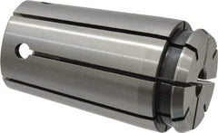 Accupro - TG/PG 100 11/32" Standard Single Angle Collet - 0.02mm TIR, 60.14mm OAL, 34.26mm Overall Diam - Exact Industrial Supply